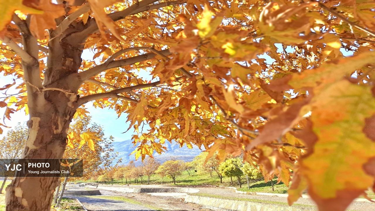 طراوت رنگ ها در پاییز پارک آبشار طلایی خرم آباد