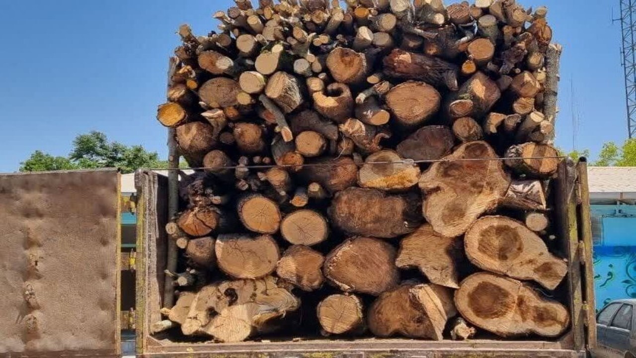 دستگیری قاچاقچی چوب در شهرستان سقز