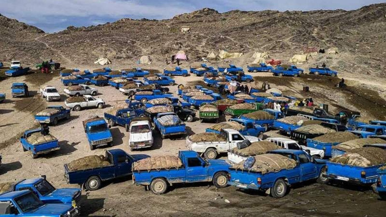 توقیف خودرو‌های حامل بار سوختی در مرز‌های جنوبی سیستان و بلوچستان