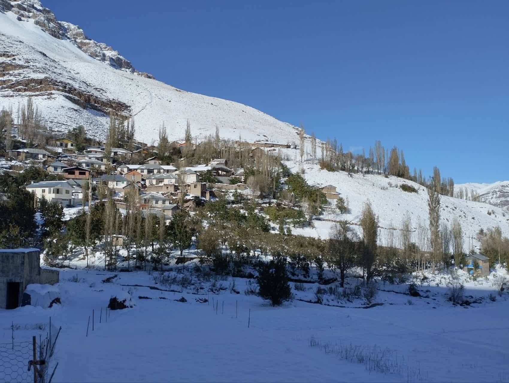 طبیعت برفی