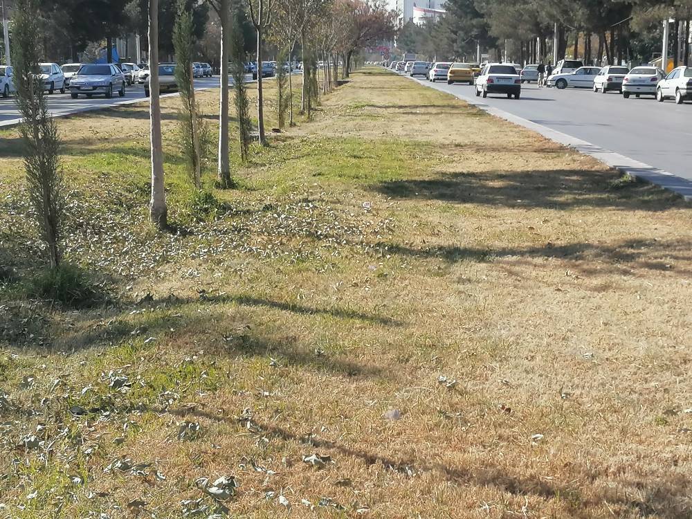 اینجا بلوار ورودی خارجی ها به کرمان است +فیلم
