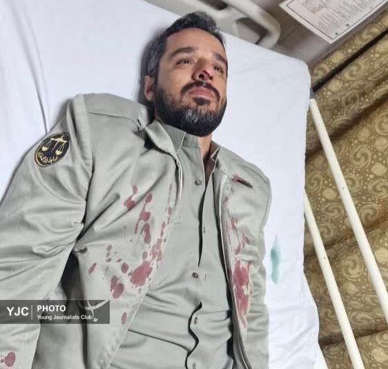 محیط‌بان کازرونی در عملیات حفاظت از بلوط‌ها مجروح شد