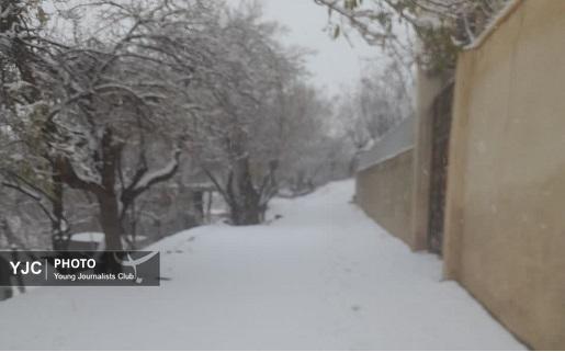 طبیعت برفی روستای کرمجگان قم