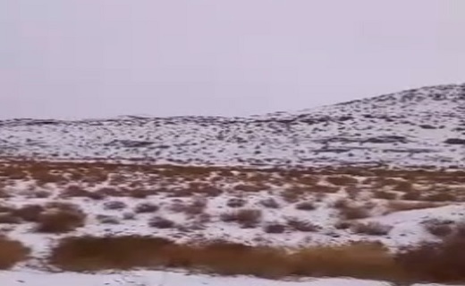 بارش برف و باران در نقاط مختلف خراسان جنوبی آغاز شده است