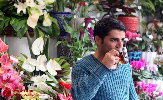 هر روز، روز چای است