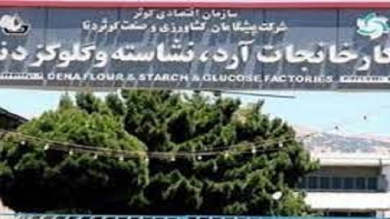 راه اندازی ۴ خط تولیدی کارخانه آرد، نشاسته و گلوکز یاسوج نیازمند اعتبار