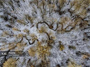 اولین بارش برف پاییزی در جنگل‌های مازندران