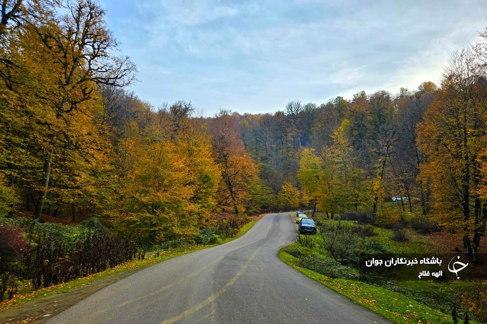 طبیعت پاییزی گیلان