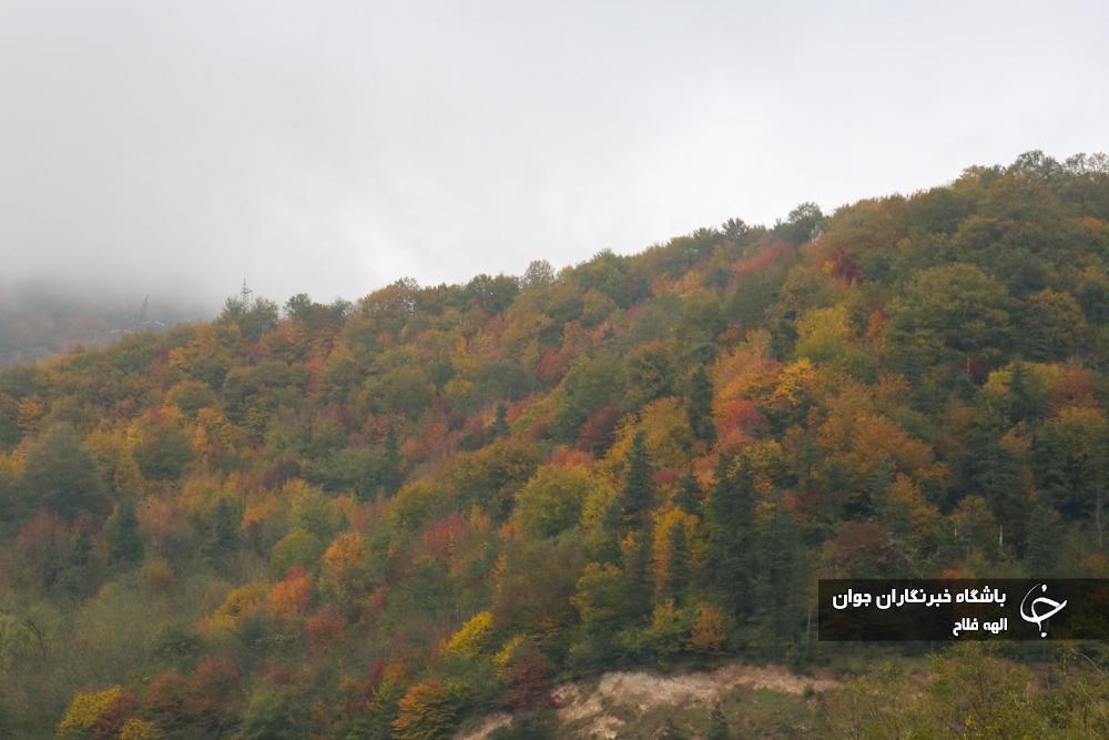 طبیعت پاییزی گیلان