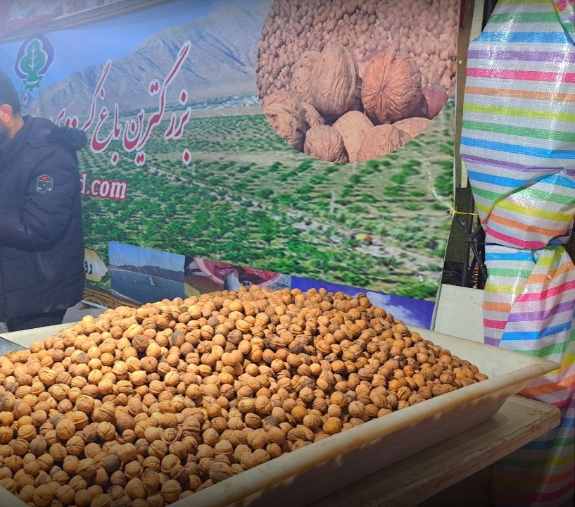 برپایی نمایشگاه شب یلدا در سمنان