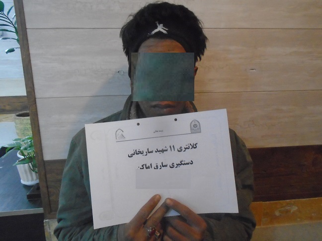 دستگیری سارق