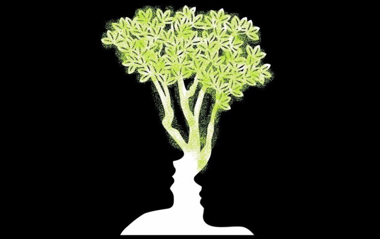 درخت
