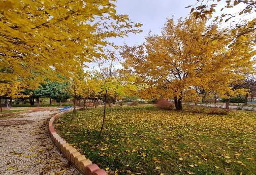 پاییز لرستان+تصاویر