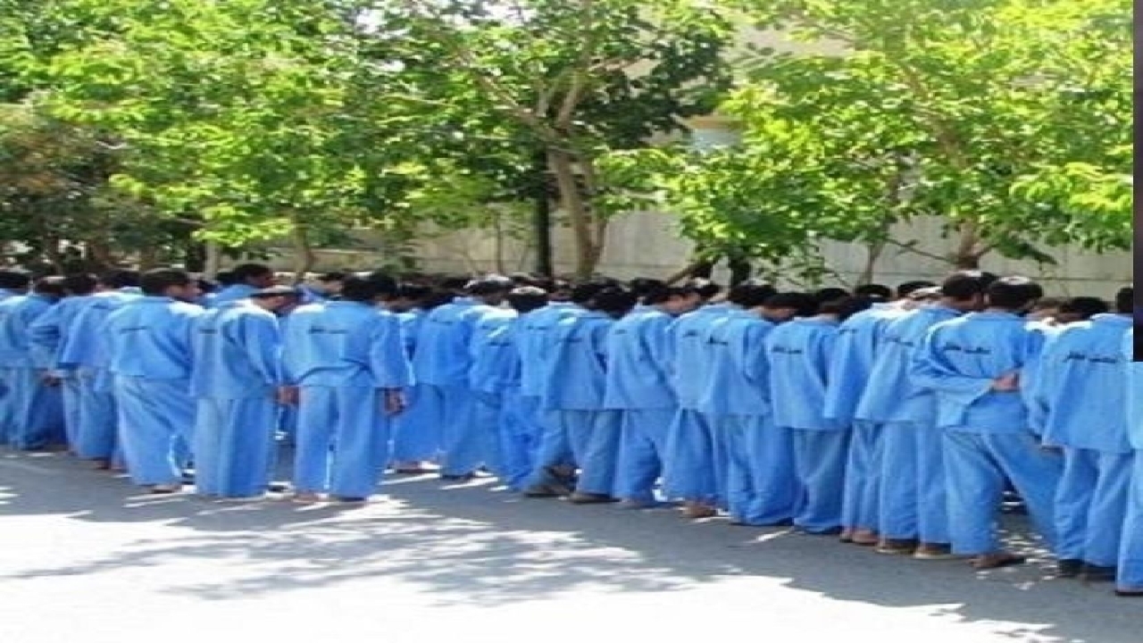 دستگیری بیش از ۱۱۰۰سارق در گیلان