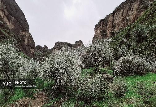 تازگی بهار؛ باران و پارک آبشارطلایی خرم آباد +تصاویر و فیلم تازگی بهار؛ باران و پارک آبشارطلایی خرم آباد +تصاویر و فیلم