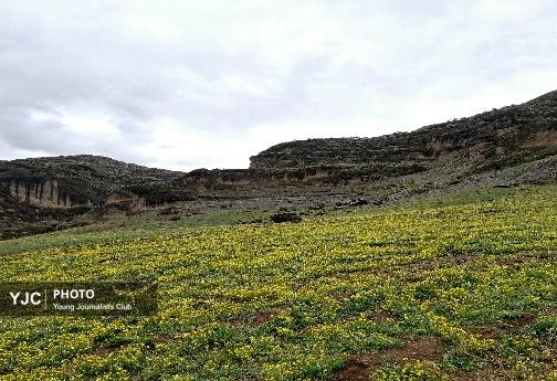 تازگی بهار؛ باران و پارک آبشارطلایی خرم آباد +تصاویر و فیلم تازگی بهار؛ باران و پارک آبشارطلایی خرم آباد +تصاویر و فیلم