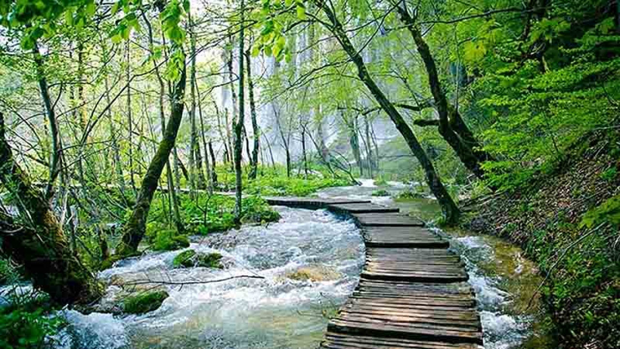 جز ردپا چیزی در طبیعت مازندران باقی نگذارید