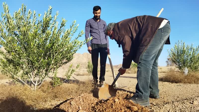 نصب چراغ روشنایی در روستای ده محمد