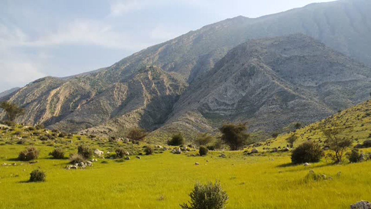 حال و هوای بهاریِ طبیعت روستای گلستان در کازرون + فیلم و تصاویر