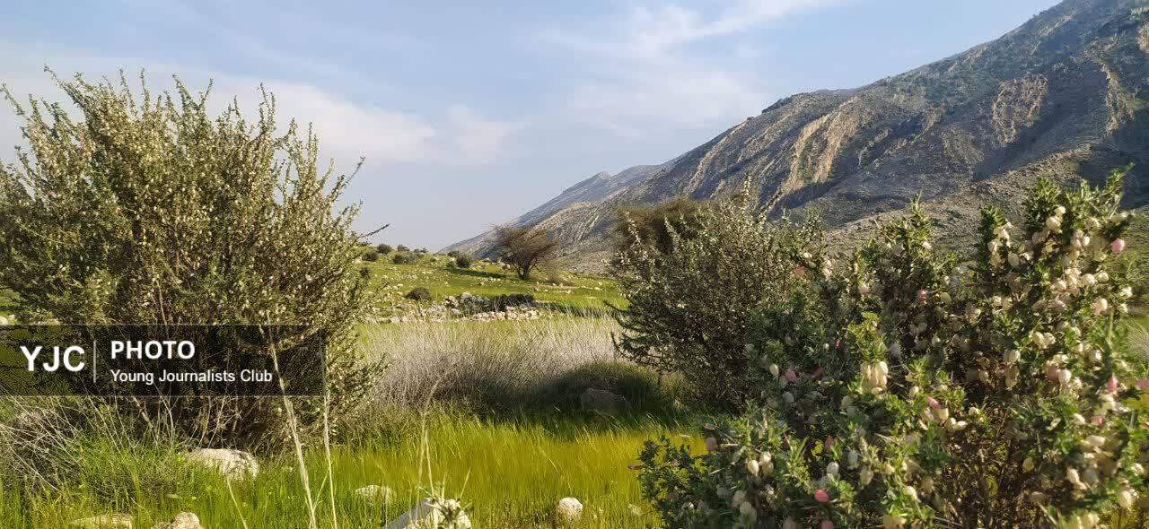 طبیعتِ روستای گلستان در کازرون