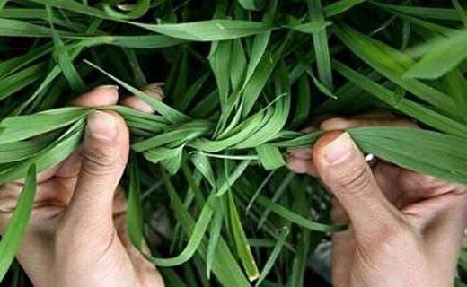 سیزده به&zwnj;در یکی از مولفه&zwnj;های مهم فـرهنگ و تـمدن ایران