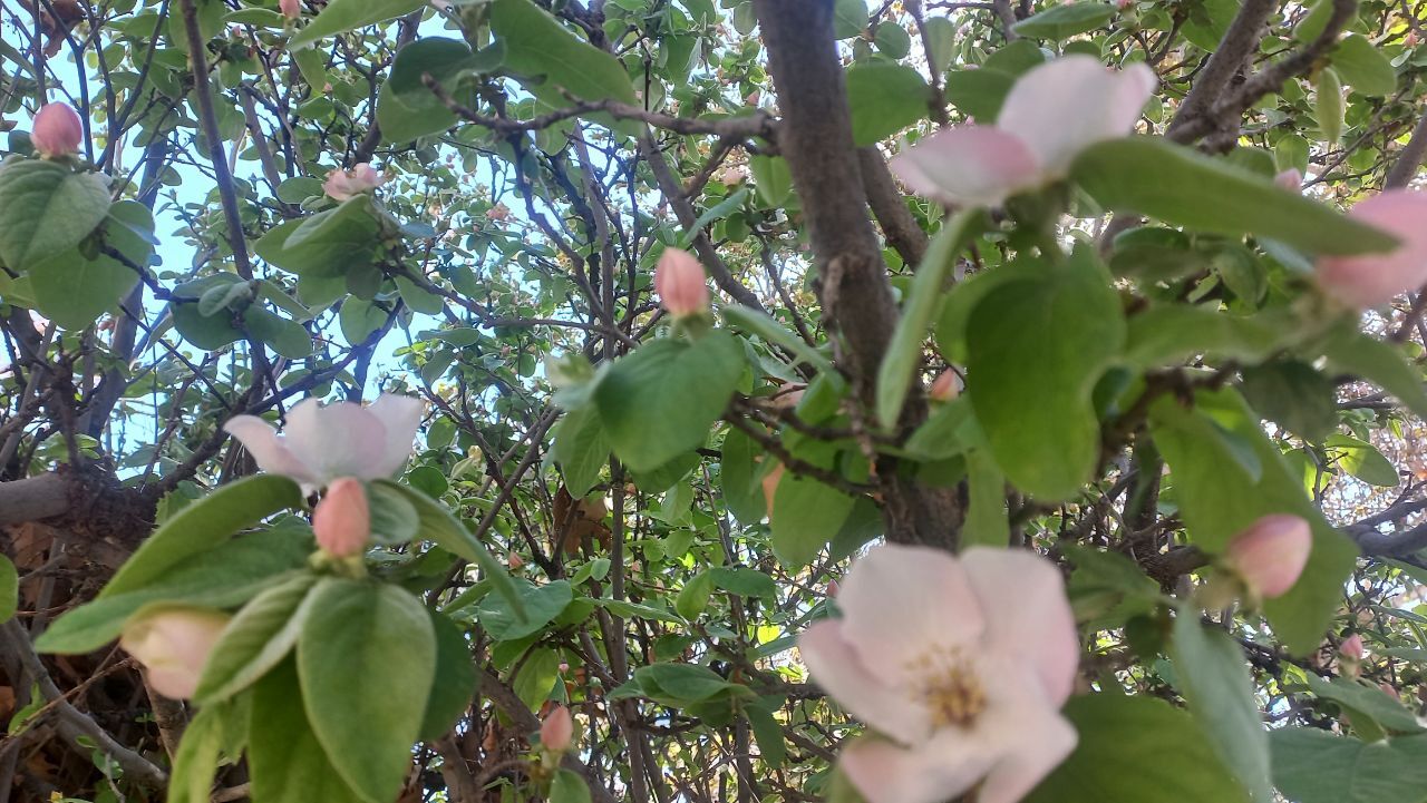 شکوه و زیبایی طبیعت استان کرمان + تصاویر