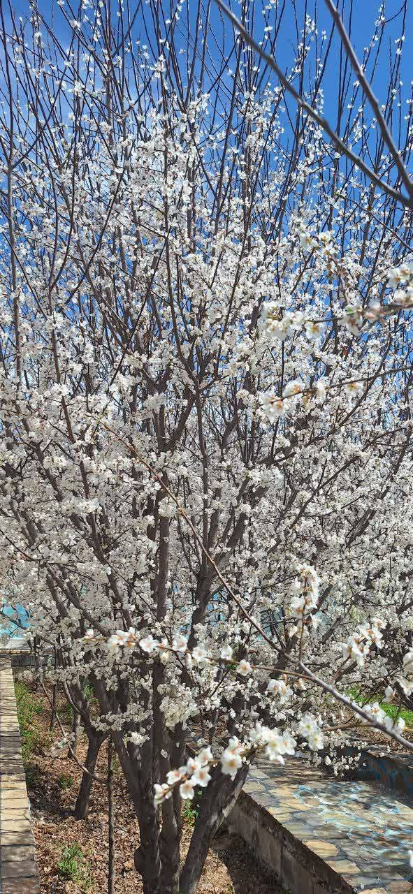 شکوه و زیبایی طبیعت استان کرمان + تصاویر
