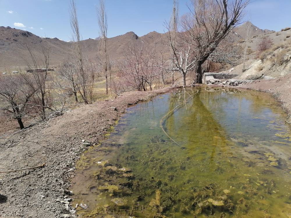 شکوه و زیبایی طبیعت استان کرمان + تصاویر