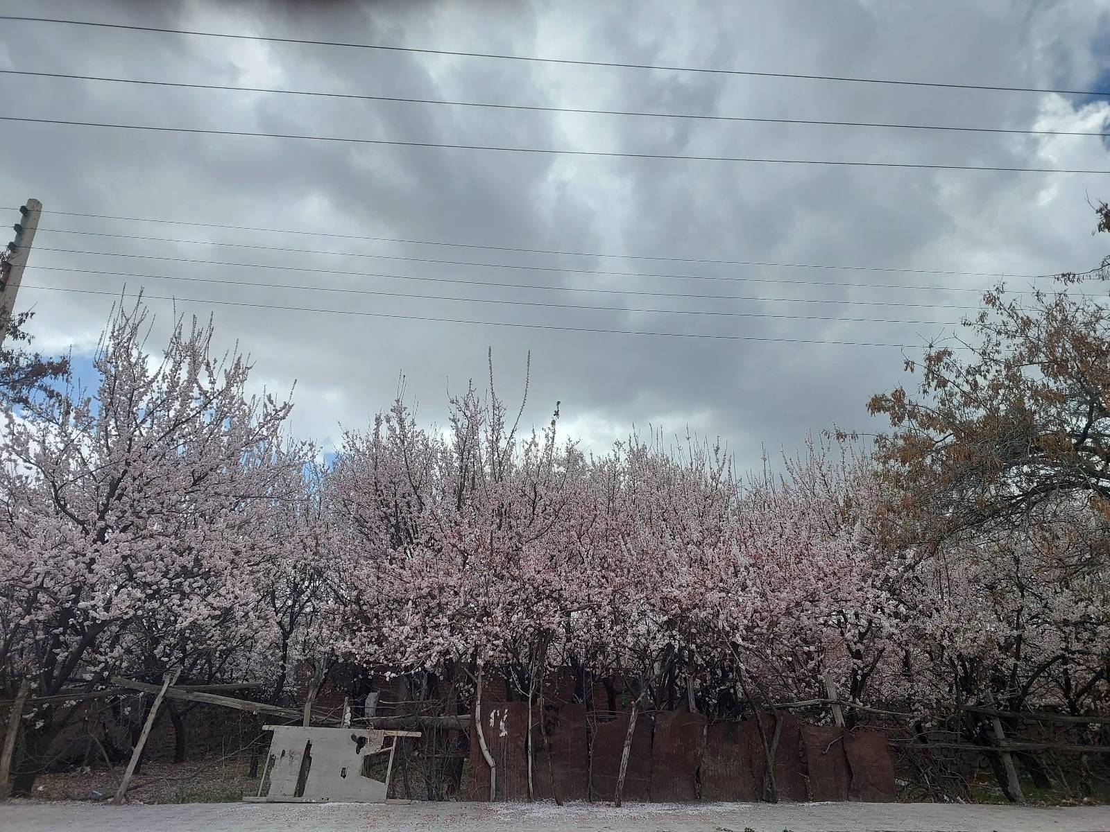 شکوه و زیبایی طبیعت استان کرمان + تصاویر
