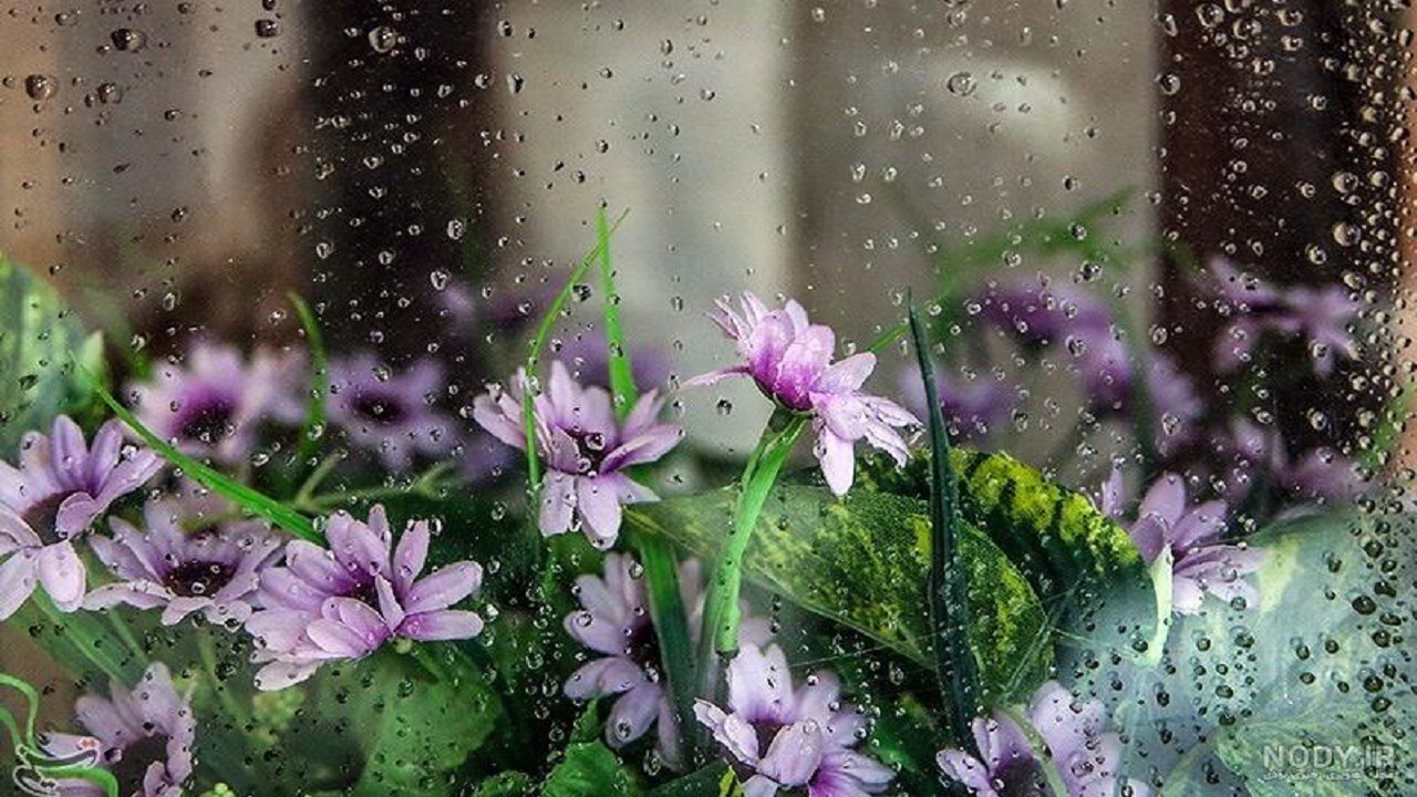 کاهش ۲۱ درصدی بارندگی در کردستان