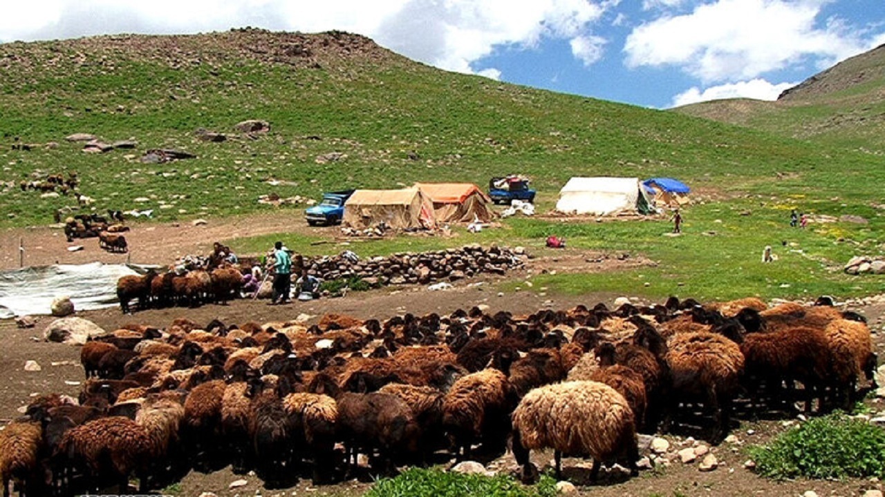 نقش موثر جامعه عشایر در تحقق رشد ۸ درصدی اقتصاد عشایر