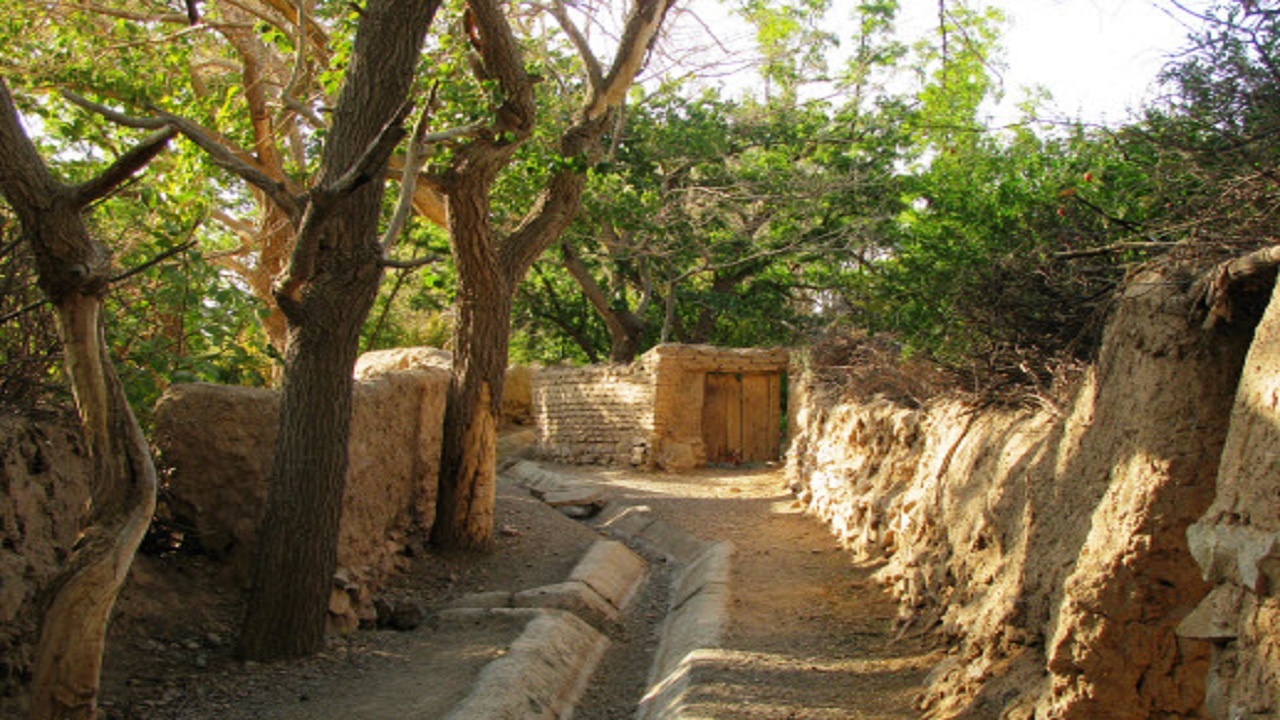 کوچه باغ دوباره شکوفه زد