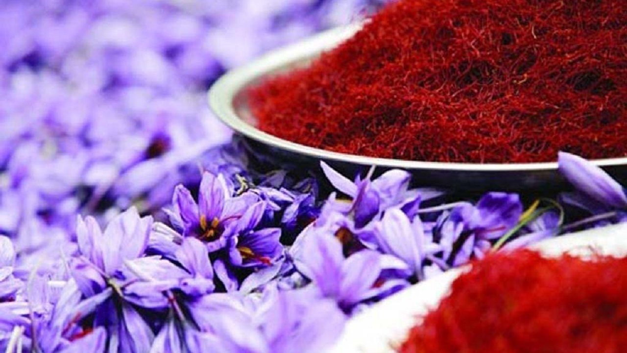 ایران یک سوم ظرفیت زعفران تولید می‌کند