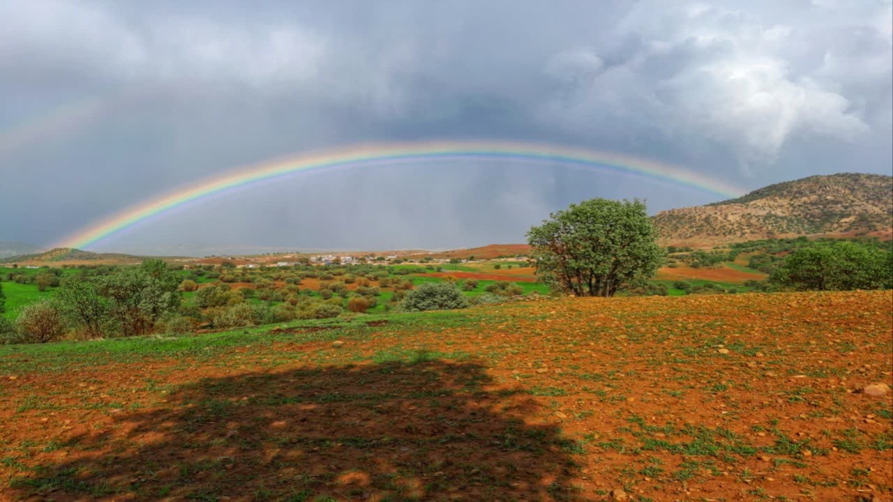 رخت سبز بهار بر تن روستای قرعلیوند کوهدشت + عکس