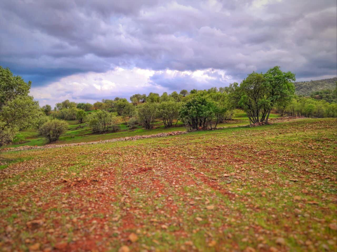 رخت سبز بهار بر تن روستای قرعلیوند کوهدشت رخت سبز بهار بر تن روستای قرعلیوند کوهدشت