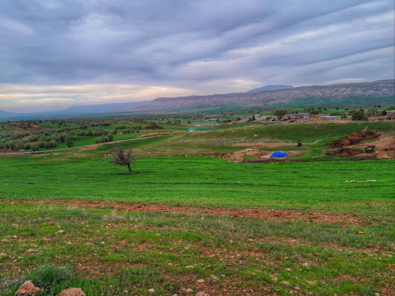 مناظر بهاری مناظر بهاری