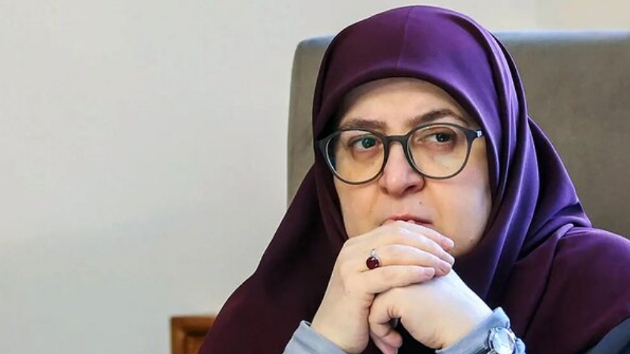 مهاجرانی: ایران قالب مذاکره را خودش انتخاب کرده است