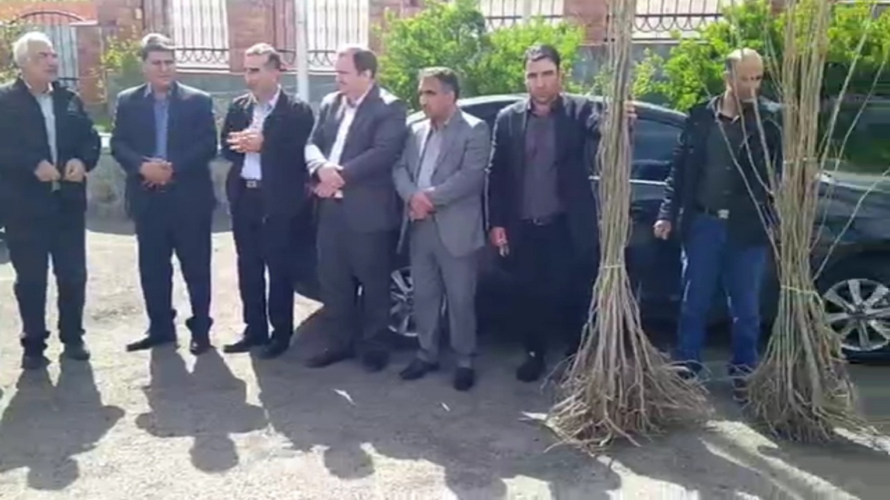 توزیع ۲۵۰۰ اصله نهال در کلیبر