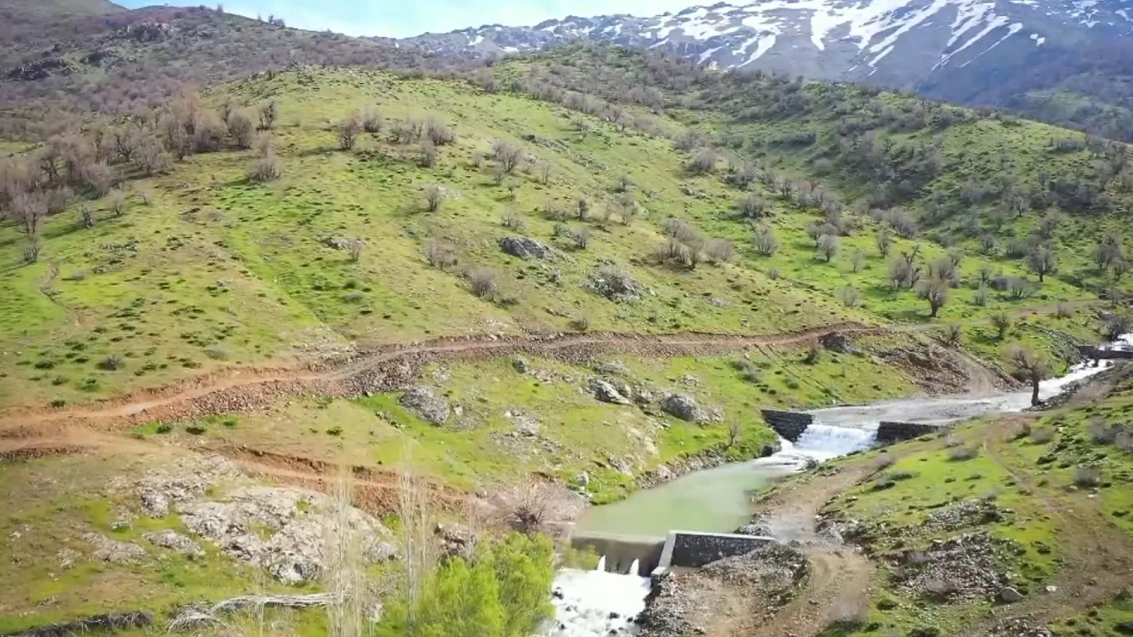 شناسایی بیش از  ۲ هزار گونه گیاهی در کردستان