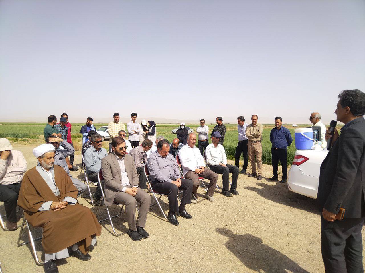 پهپاد سمپاش