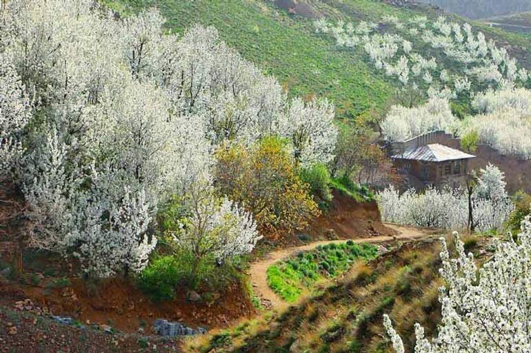 سفر یک روزه به دل بهار! روستای سنگان در نزدیکی تهران