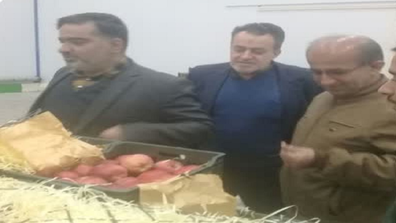 نظارت مستمر جهاد کشاورزی بر بازار؛ تضمین ثبات قیمت‌ها و آرامش در ایام نوروز