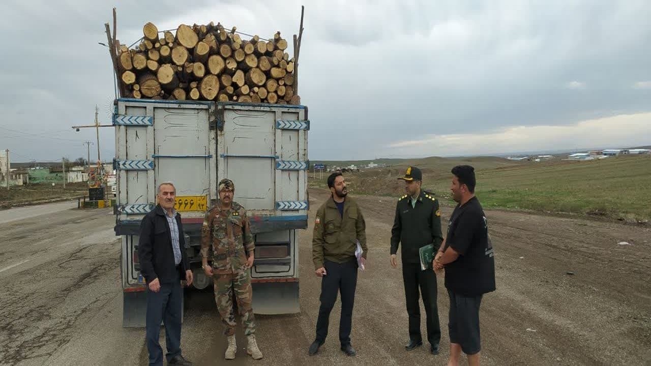 کشف ۱۵ تن چوب قاچاق در قزوین