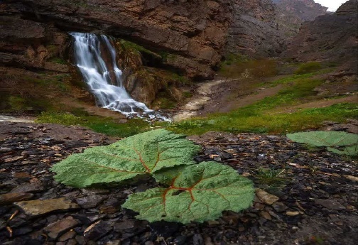 لرستان زیبا؛ در قاب آبشارها + تصاویر