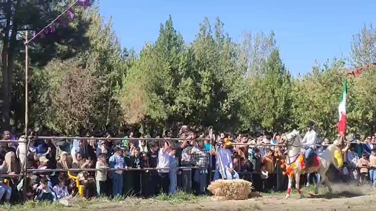 فیلمی از همایش زیبای سوارکاری نهاوند به مناسبت روز ارتش + فیلم