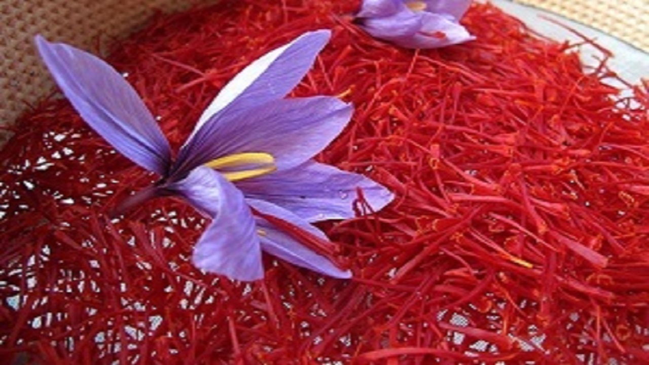 صادرات زعفران به مرز ۱۸۵ میلیون دلار رسید
