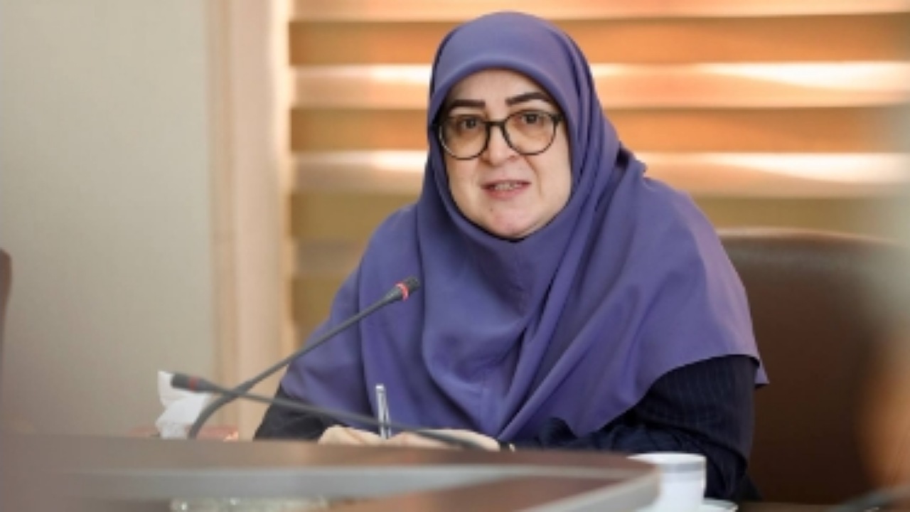دولت برای عبور از ناترازی انرژی از خودش آغاز کرده است