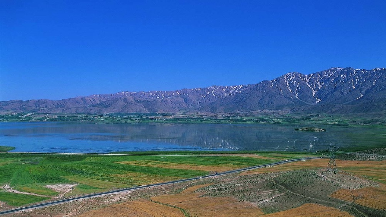 شناسایی ۱۲۱ گونه گیاهی در تالاب بین المللی چغاخور