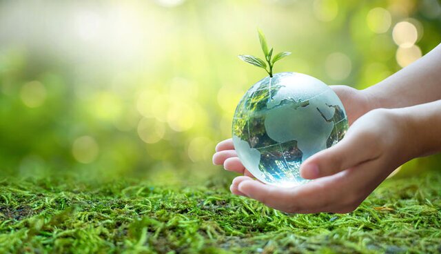 صدور حکم جایگزین حبس برای متخلف سابقه دار قطع درختان جنگلی