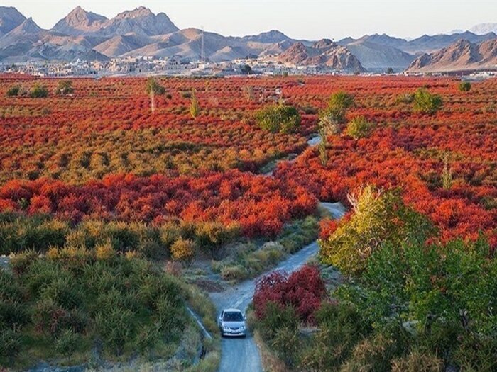 روستاهای هدف گردشگری، سفر به قلب اصالت و زیبایی خراسان جنوبی روستاهای هدف گردشگری، سفر به قلب اصالت و زیبایی خراسان جنوبی